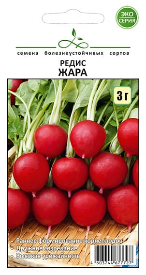 Тестовая оплата — 1 ₽