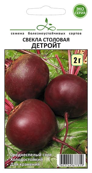 Тест оплаты — 100 ₽ (не отгружать)