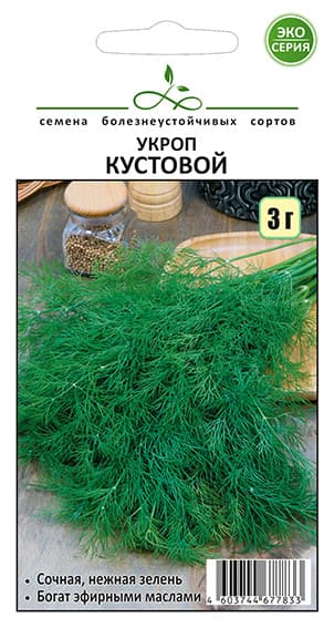 Тест оплаты — 10 ₽ (не отгружать)